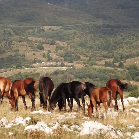 Apartamento Maricic 200 Meters From The Novi Vinodolski
