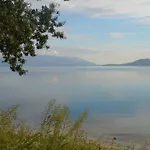 Maricic 200 Meters From The 노비비노돌스키