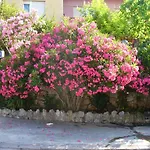 Apartament Maricic 200 Meters From The Novi Vinodolski