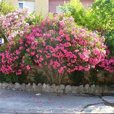 Apartment Maricic 200 Meters From The Novi Vinodolski