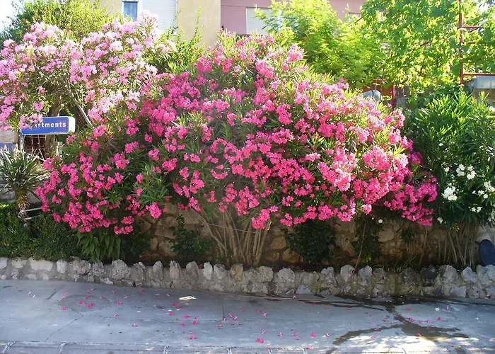 Appartement Maricic 200 Meters From The Novi Vinodolski
